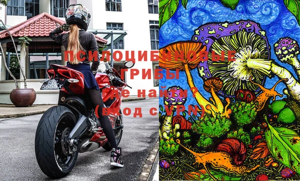 apvp Весьегонск