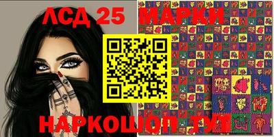 дмт Донской