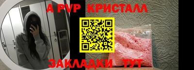 молекула духа Кингисепп