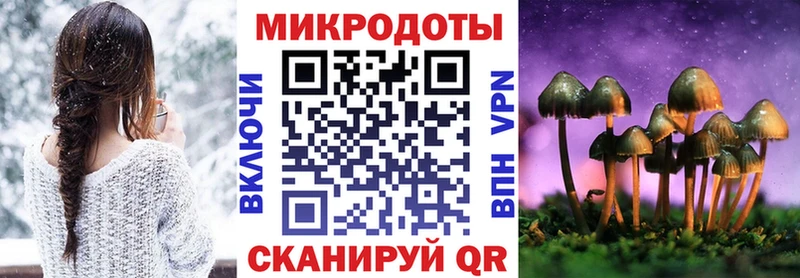 Галлюциногенные грибы Psilocybe  Знаменск 