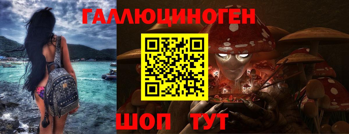 Псилоцибиновые грибы Cubensis  Галлюциногенные грибы мухоморы  Знаменск 