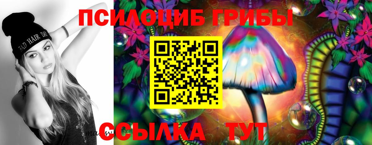 Знаменск  Псилоцибиновые грибы GOLDEN TEACHER  Галлюциногенные грибы Magic Shrooms  Вход с VPN 